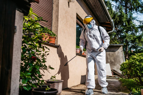 Best Pest Control Near Me in Granger, TX