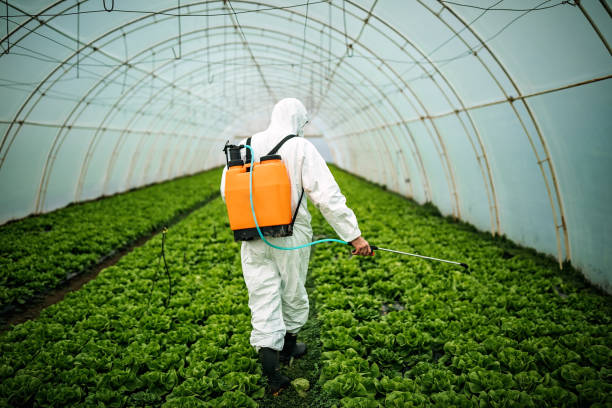 Best Pest Inspection Near Me  in Granger, TX