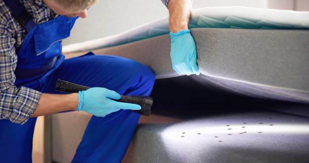 Reliable Granger, TX Pest Control Solutions