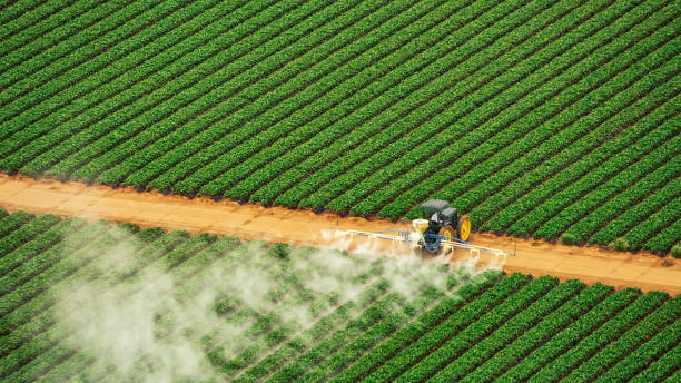 Best Affordable Exterminators  in Granger, TX