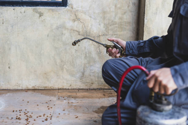 Flea Control Services in Granger, TX